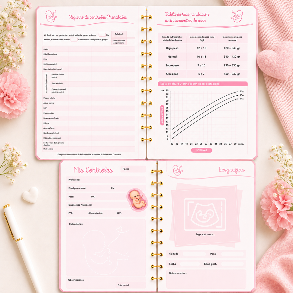 Planner Prenatal Rossy