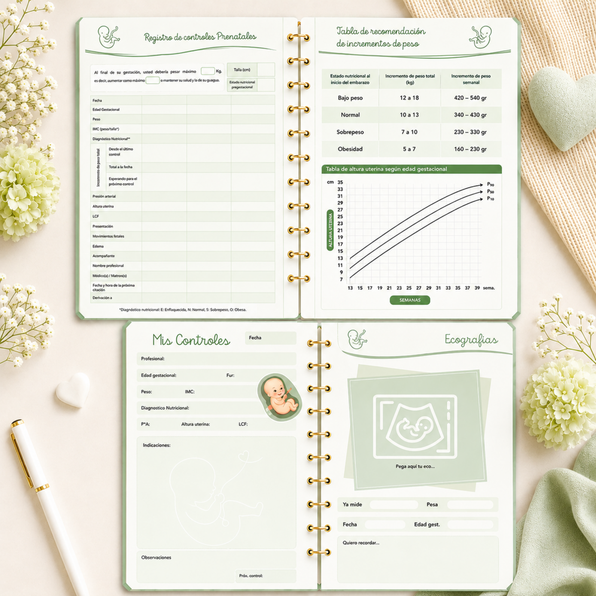 Planner Prenatal Gansito