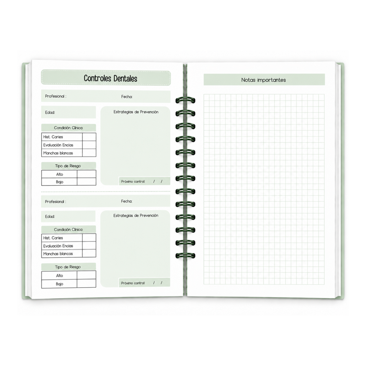 Planner Pediátrico Dino