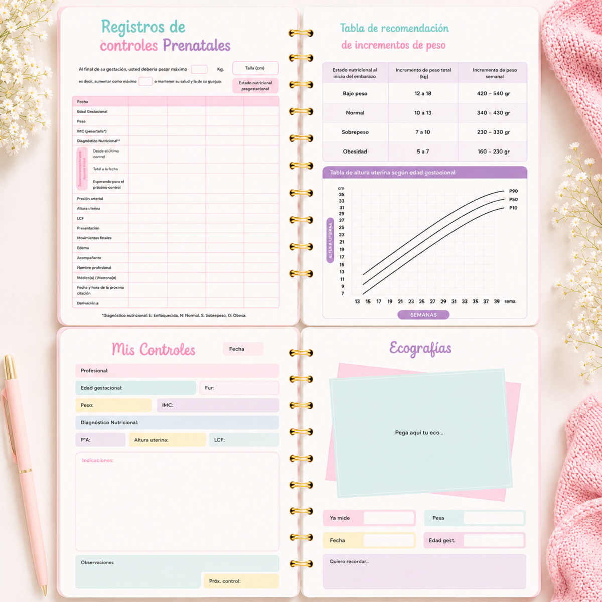 Planner Prenatal Arcoiris