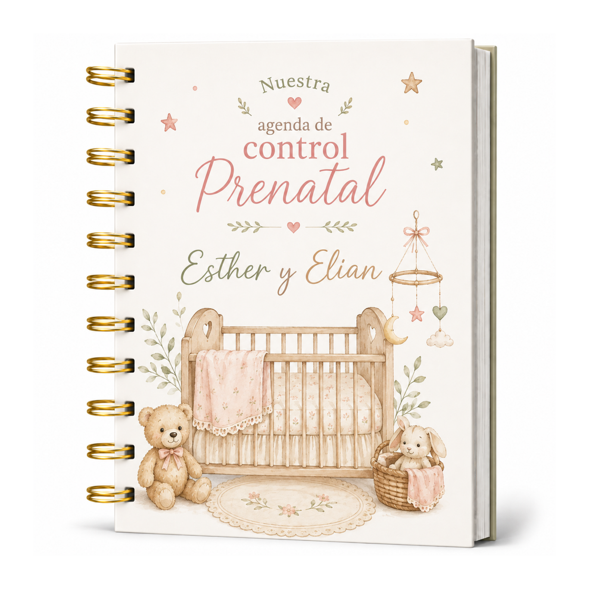 Planner Prenatal Cunita