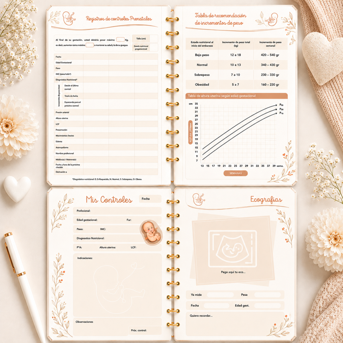 Planner Prenatal Cunita
