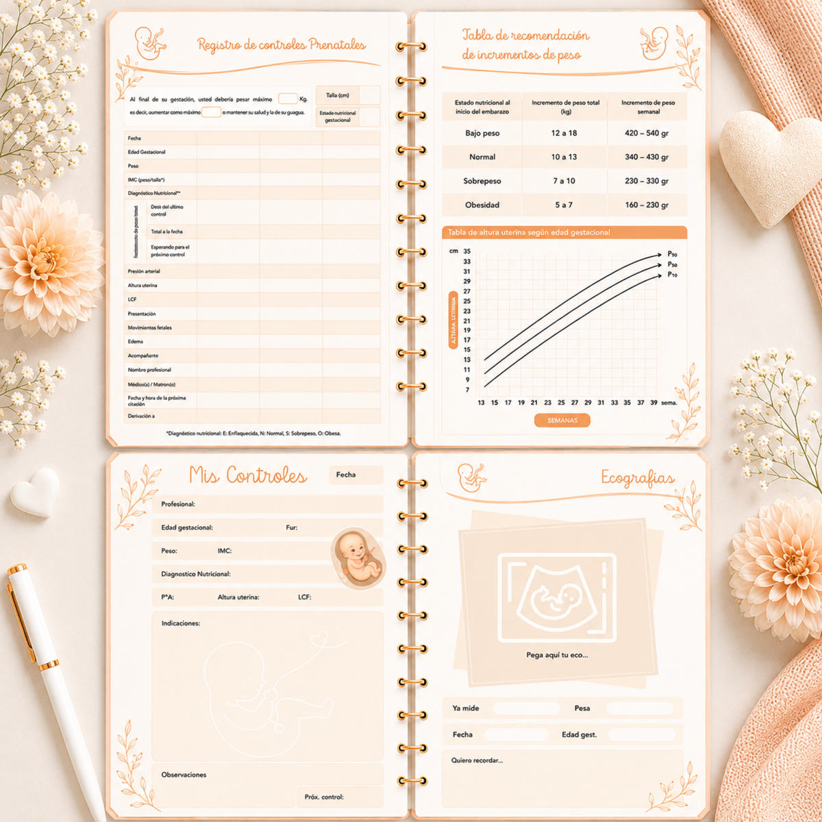 Planner Prenatal Osito Nube